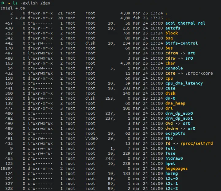 Files in /dev directory