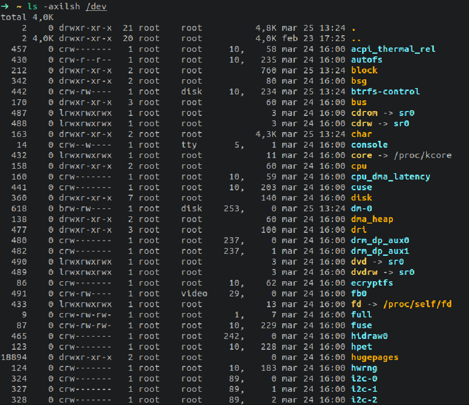 Files in /dev directory
