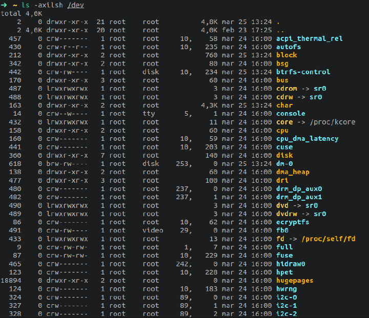 Files in /dev directory