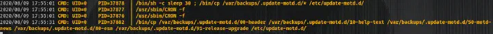 pspy
