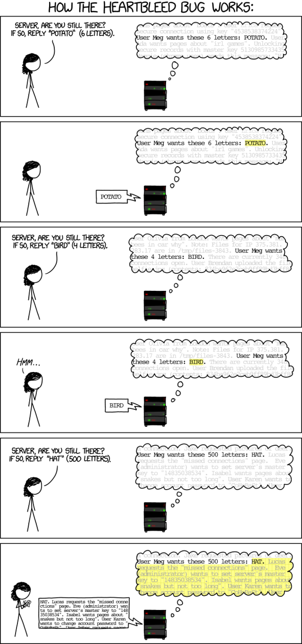 HeartBleed Explanation