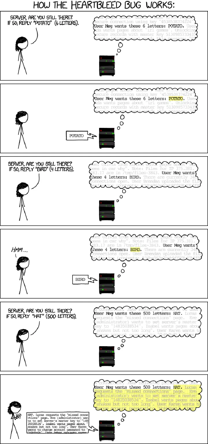 HeartBleed Explanation