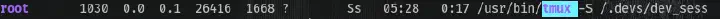 Tmux Session