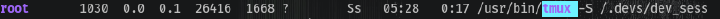 Tmux Session
